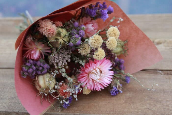 Winner small image - Blooming Bees