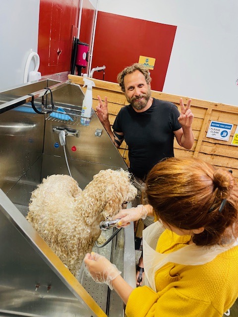 Winner small image - Yorkshire Dog Wash