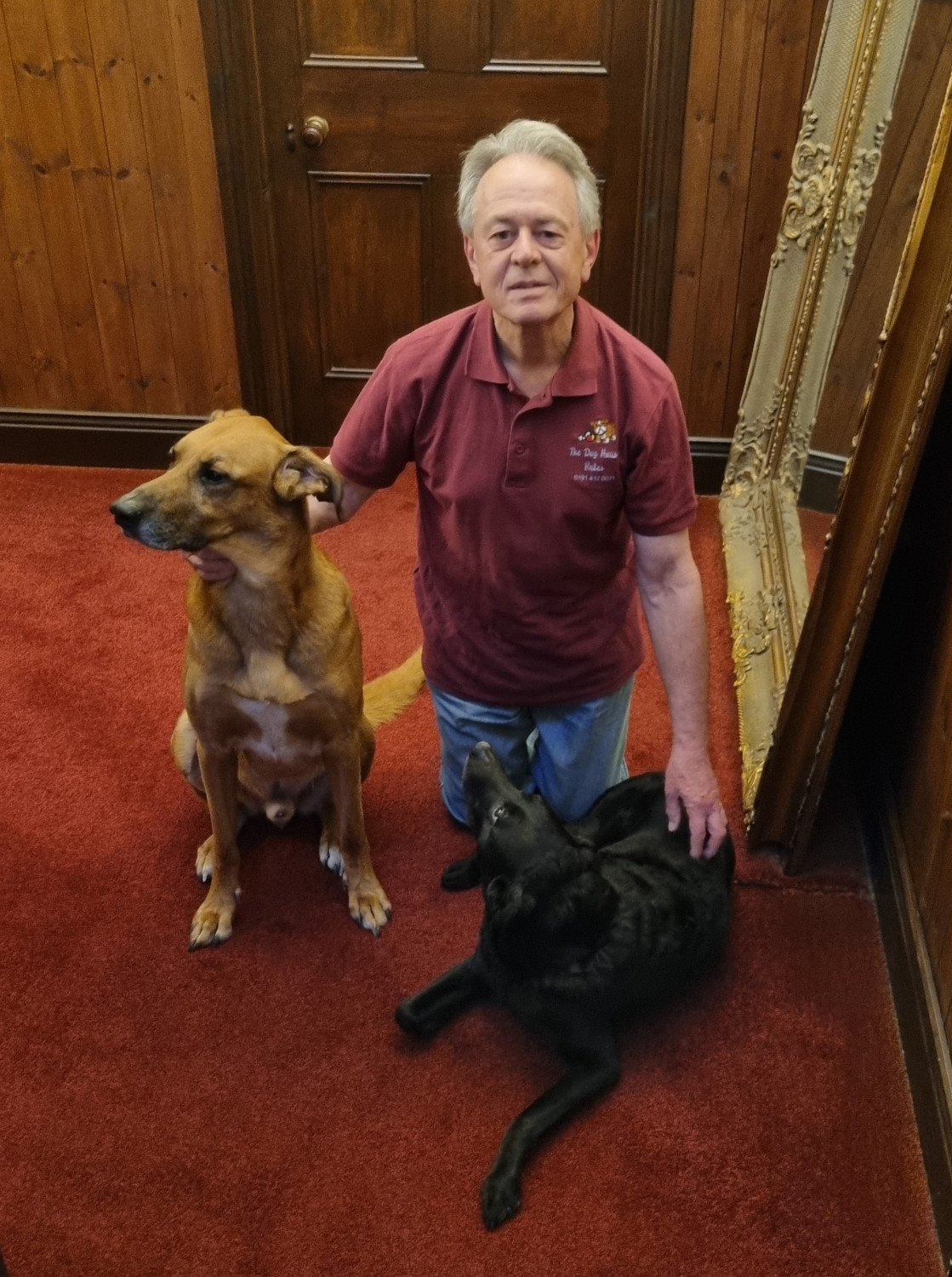 Winner small image - The Dog House Rules Ltd