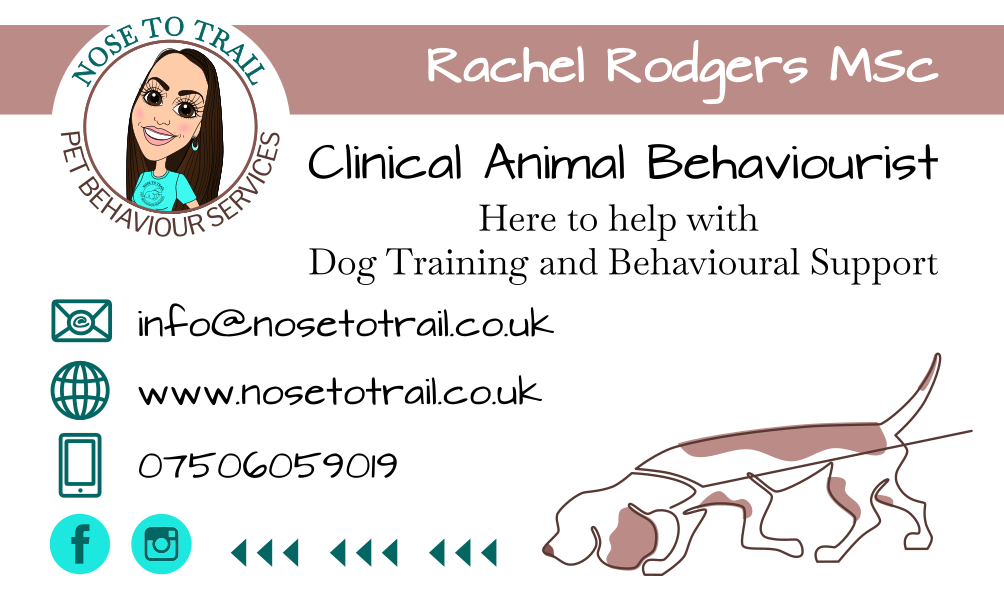 Winner small image - Nose to Trail