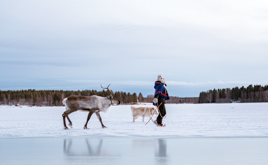 Winner small image - Jacada Travel