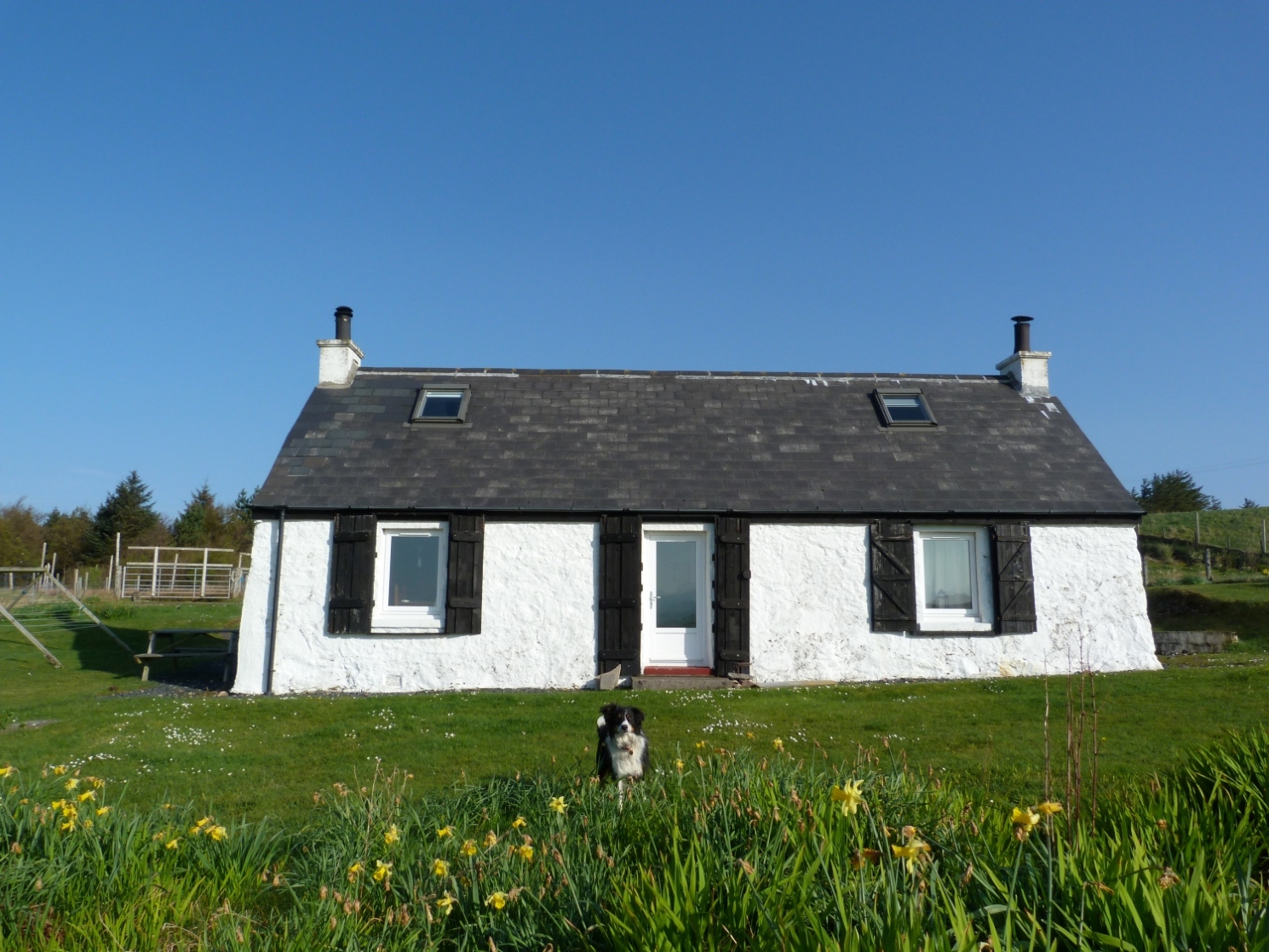 Winner small image - Caolas Beag Holiday Cottage