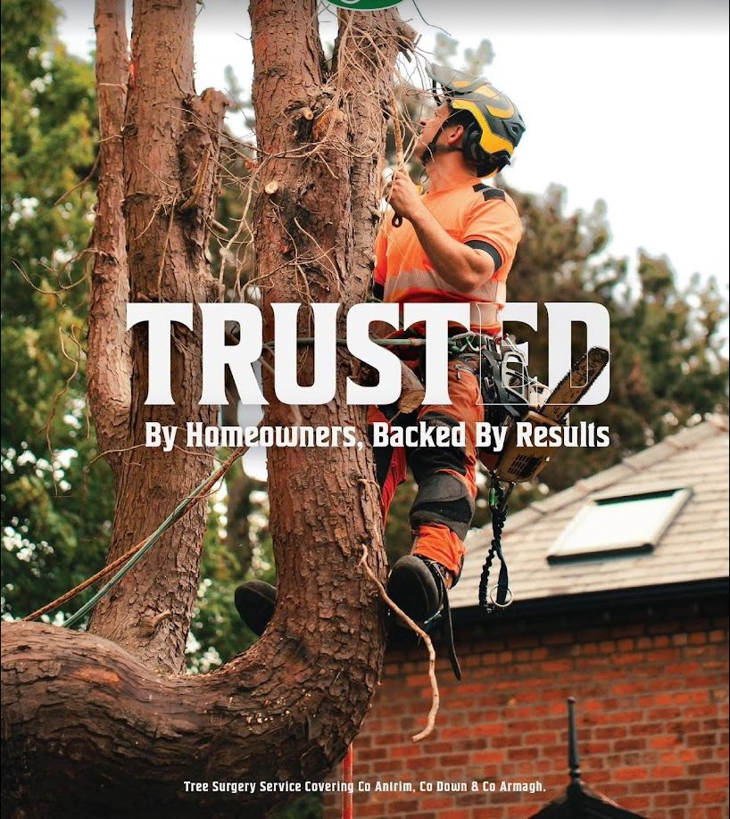 Winner small image - Dr Green Tree Care Ltd