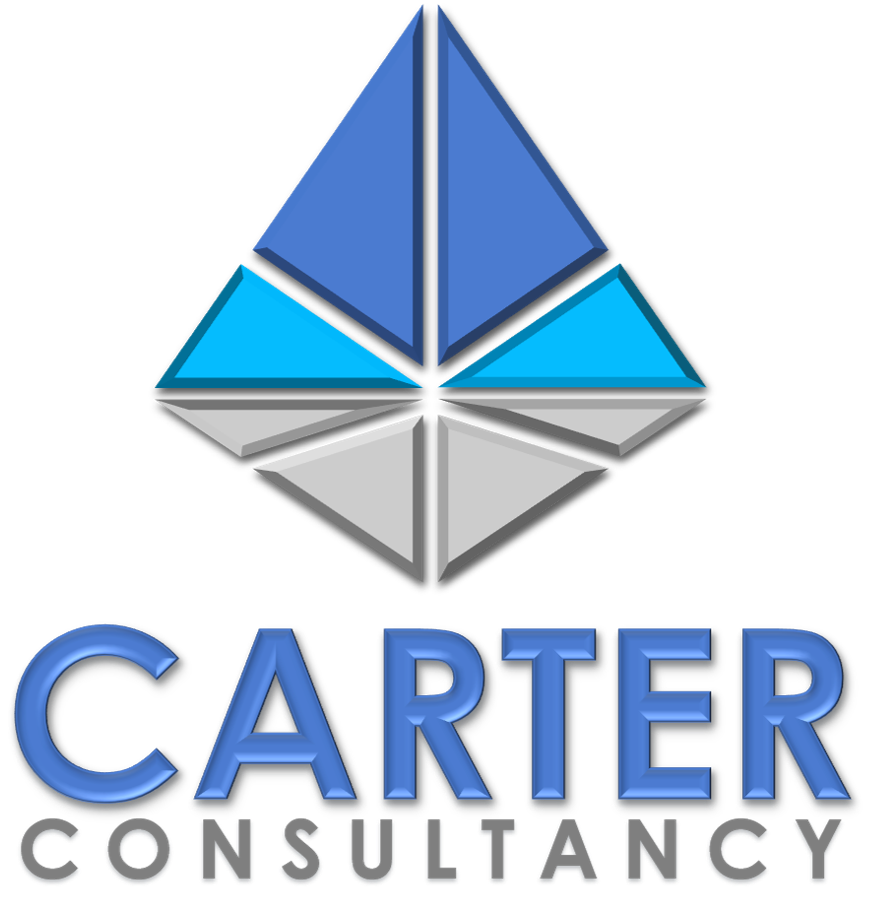 Winner small image - Carter Consultancy