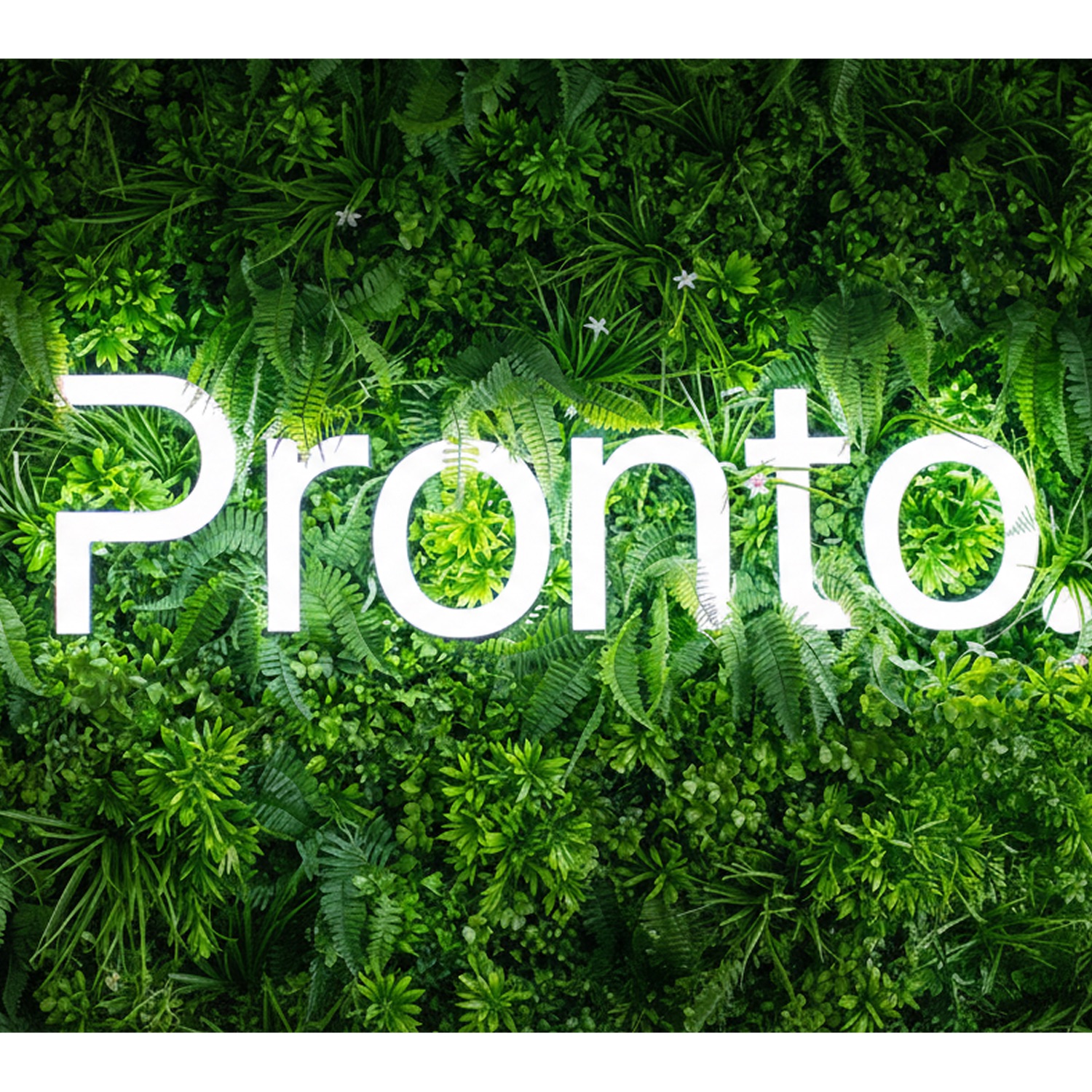 Winner small image - Lead Pronto