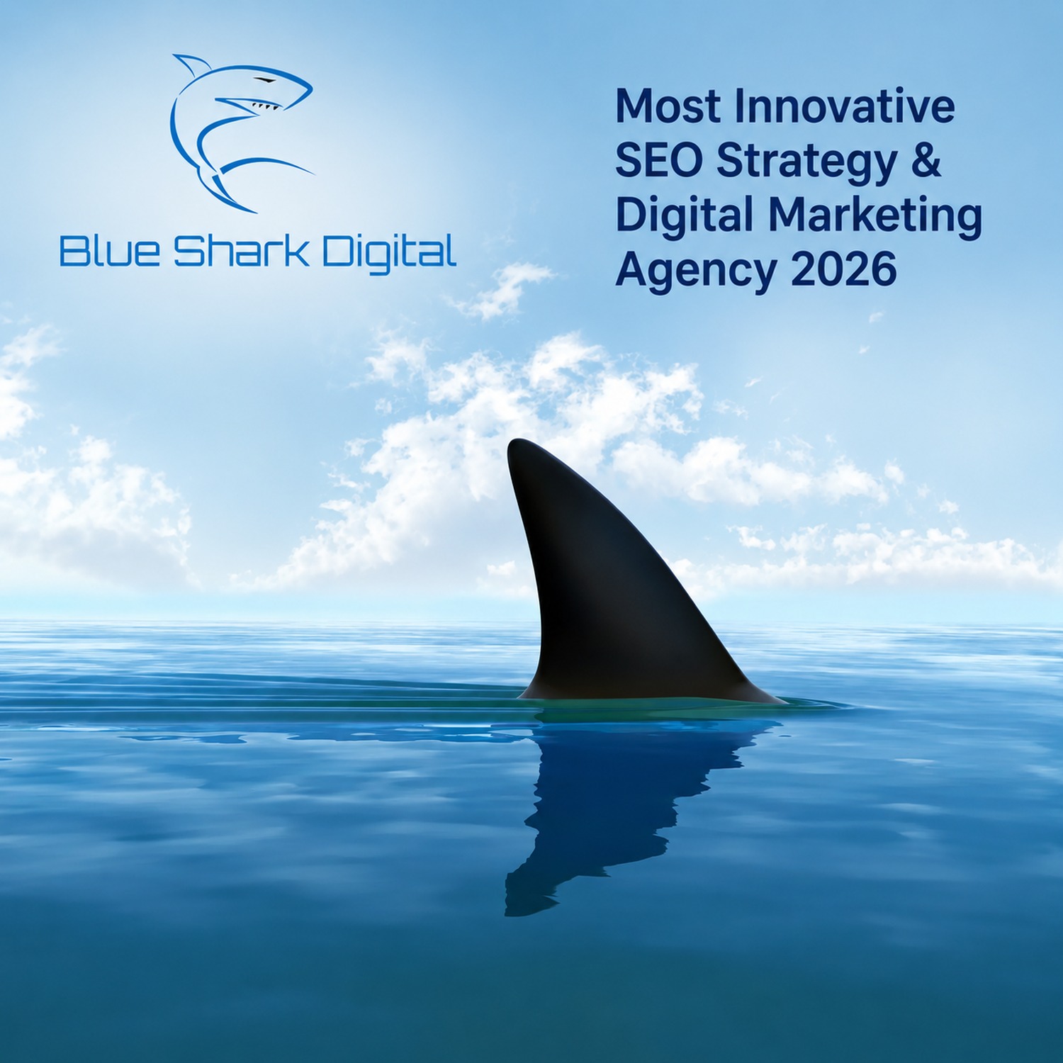 Winner small image - Blue Shark Digital