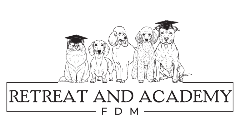 Winner small image - FDM Retreat and Academy