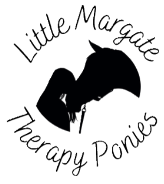 Winner small image - Little Margate Therapy Ponies