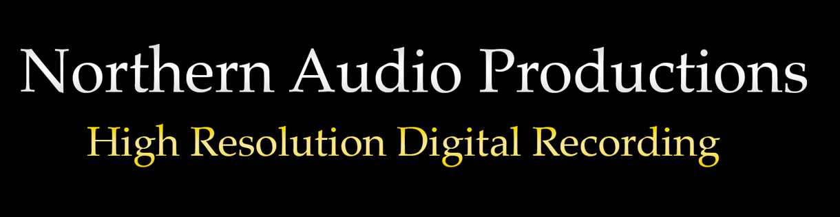 Winner small image - Northern Audio Productions