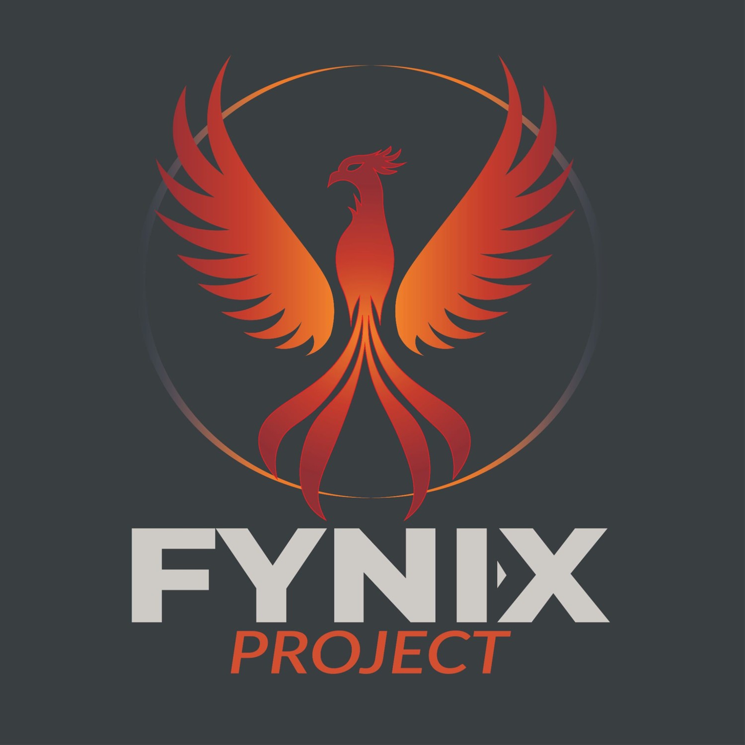 Winner small image - Fynix Project