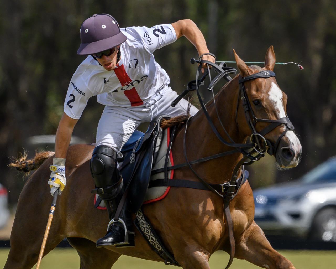 Winner small image - Ona Polo