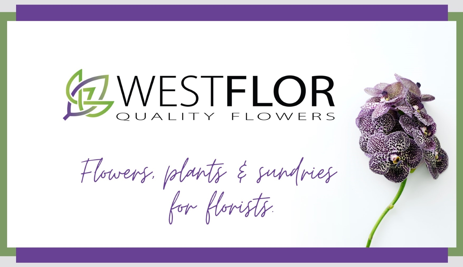 Winner small image - Westflor