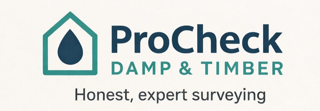 Winner small image - ProCheck Damp & Timber