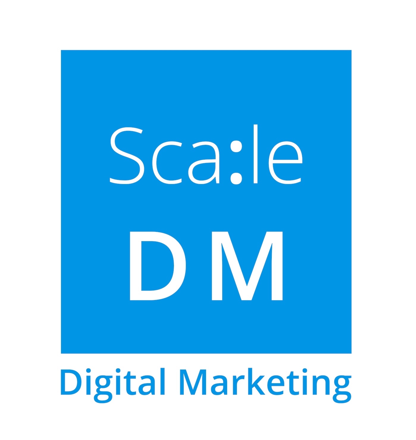 Winner small image - Scale DM