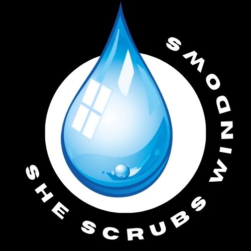 Winner small image - She Scrubs Windows