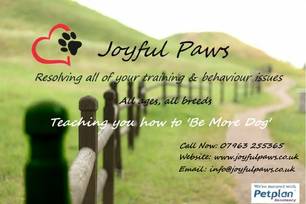 Winner small image - Joyful Paws