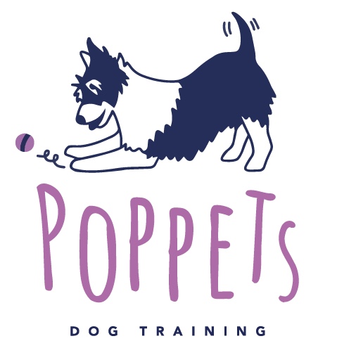 Winner small image - Poppets Dog Training