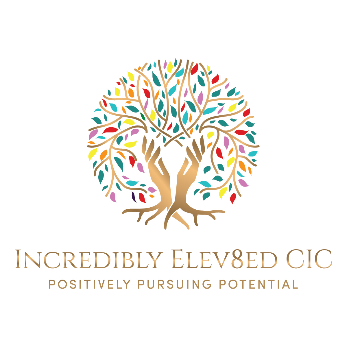 Winner small image - Incredibly Elev8ed CIC