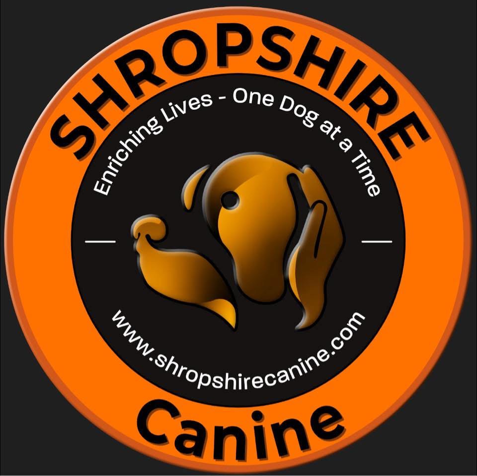 Winner small image - Shropshire Canine