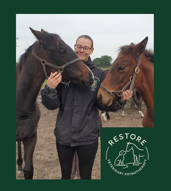 Winner small image - Restore Veterinary Physiotherapy