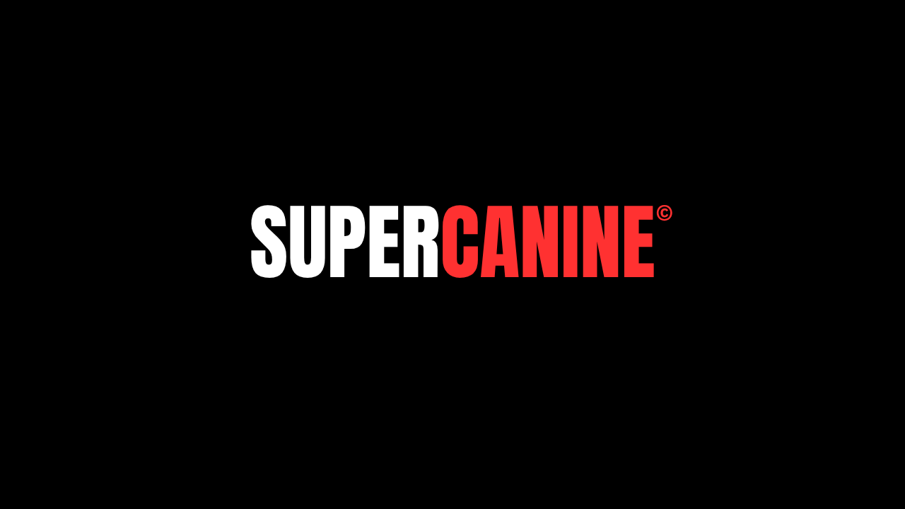 Winner small image - Super Canine Dog Training