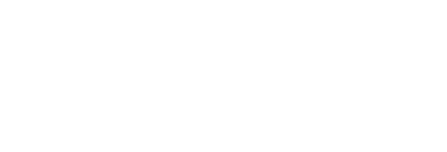 Winner small image - Stelia