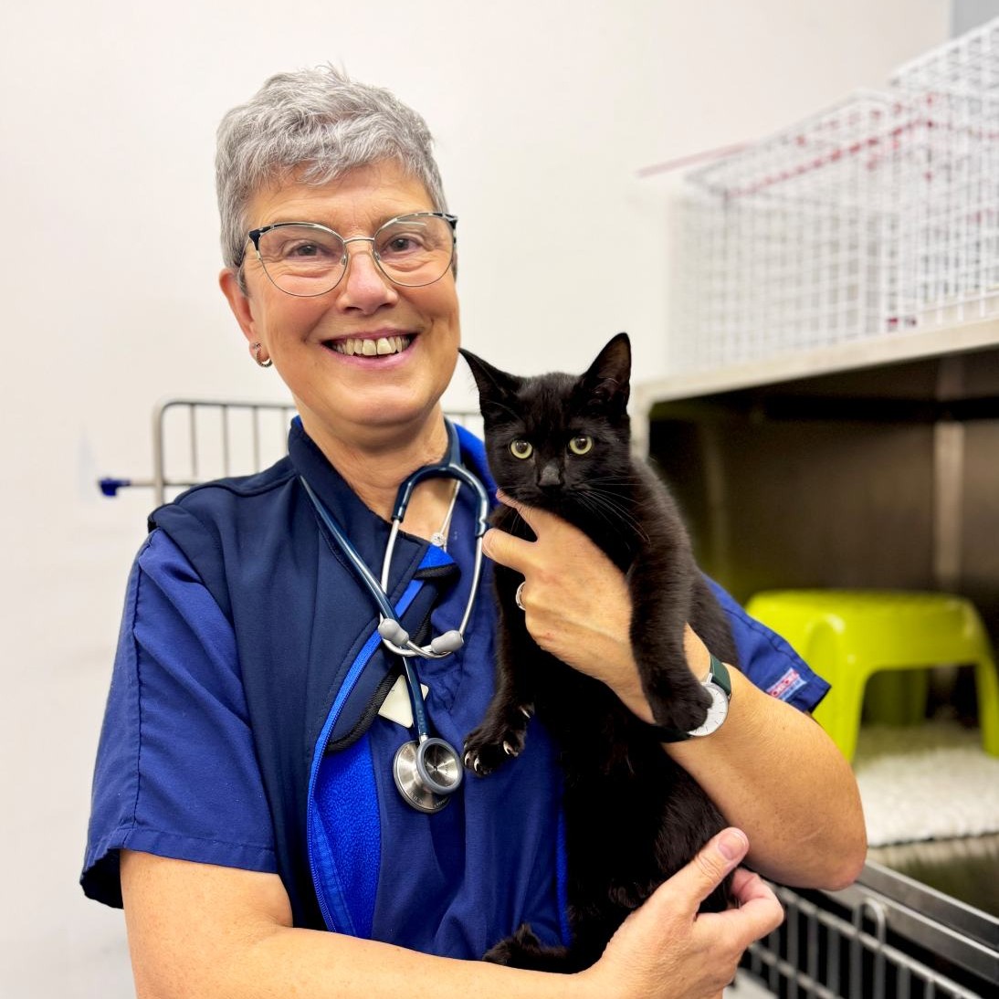 Winner small image - Animal Trust Vets CIC