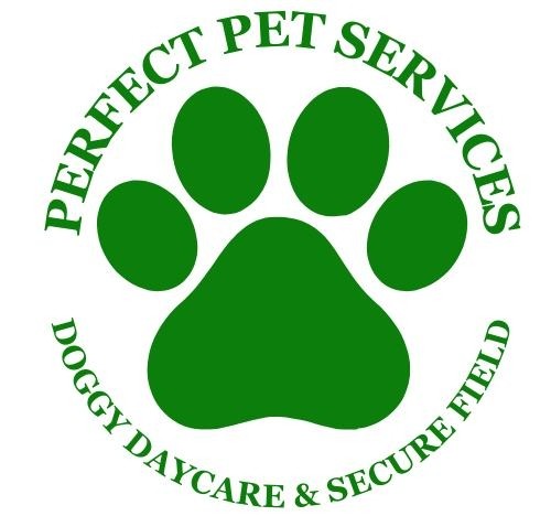 Winner small image - Perfect Pet Services